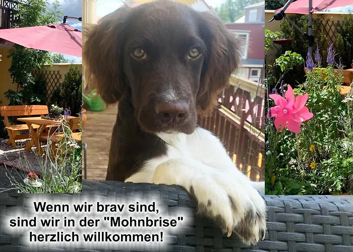 Ferienwohnung Mohnbrise